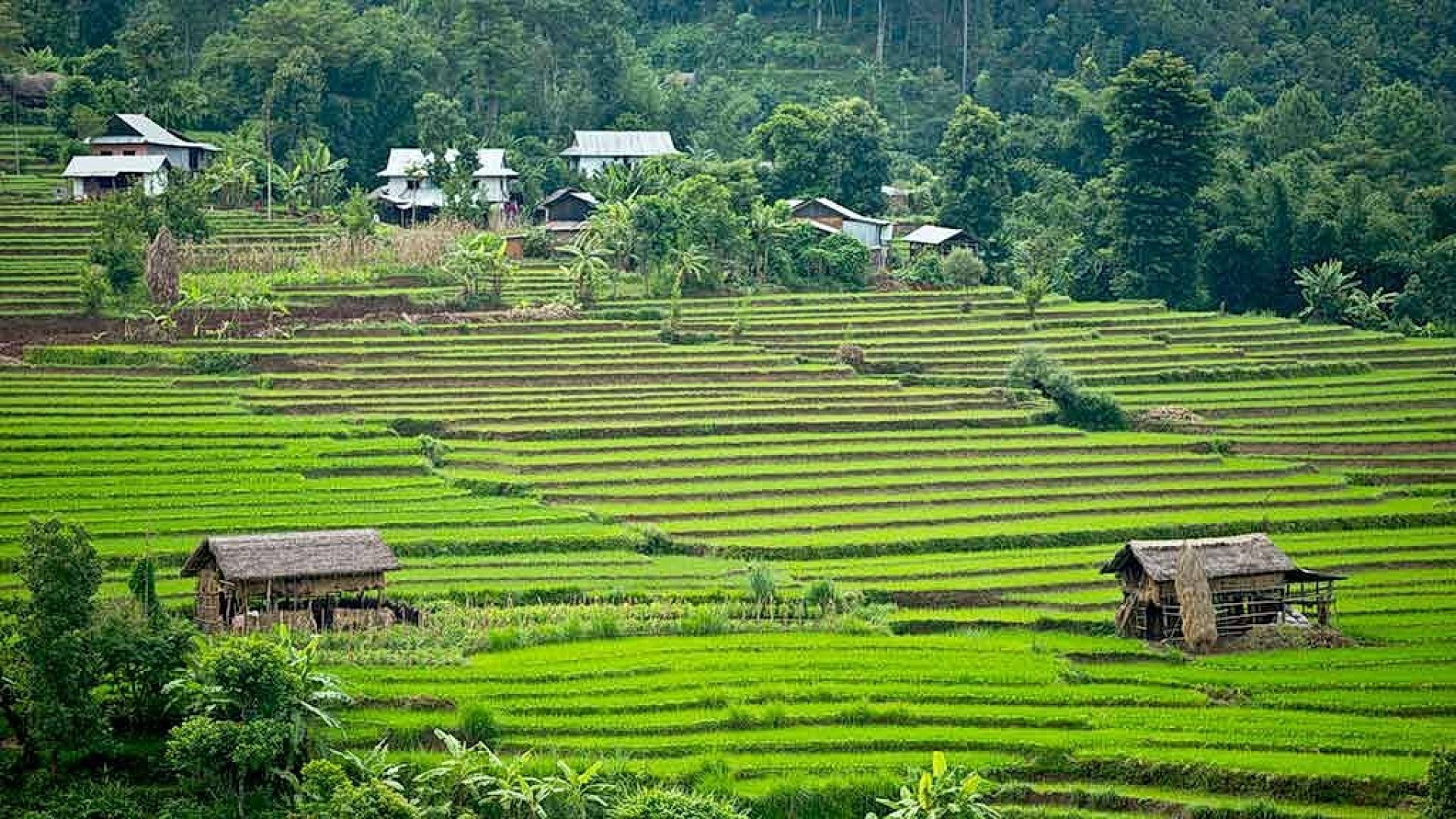 himalaya, nepal, motorrad, motorradreisen, touren, gruppenreise, rundfahrten, enfield, preiswert, günstig, Kathmandu, Gorkha, Pokhara, Annapurna, Beni, Mugling, Bandipur, Tatopani, Muktinath, Baglung, Lumbini, Bardibas, Tansen, Terai, Chitwan, Bhaktapur, 