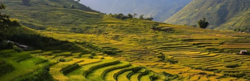 Motorradreisen Asien motorradreisen, asien, thailand, indien, vietnam, ladakh, himalaya, spiti, tibet, bhutan