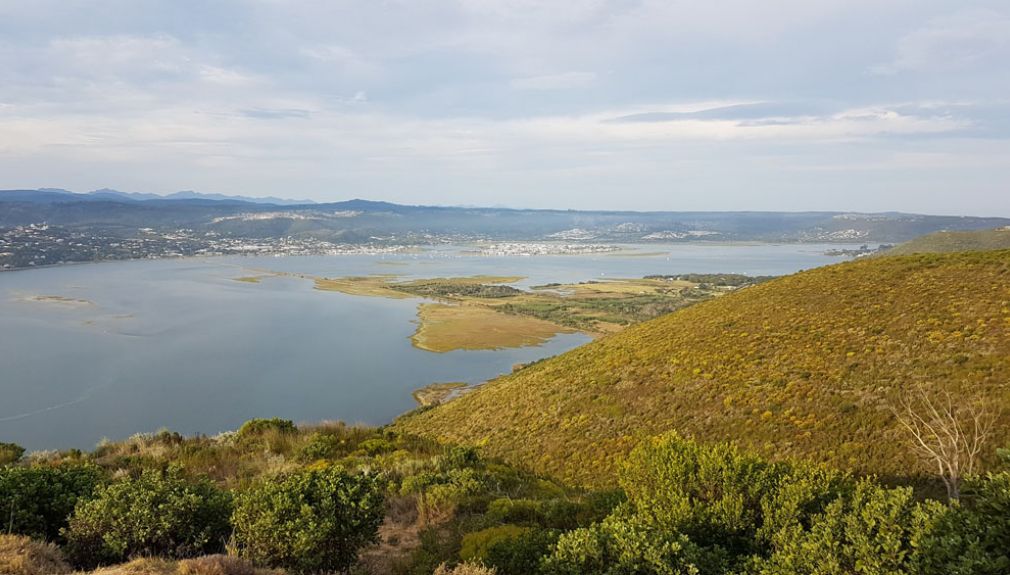 südafrika, suedafrika, kapstadt, garden route, stellenbosch, cederberg, matjiesfontein, western cape, klein karoo, oudtshoorn, stormsriver albertinia, cape south, de kelders, kap der guten hoffnung, stony point, clarence drive, bainskloof, rooiberg, swart