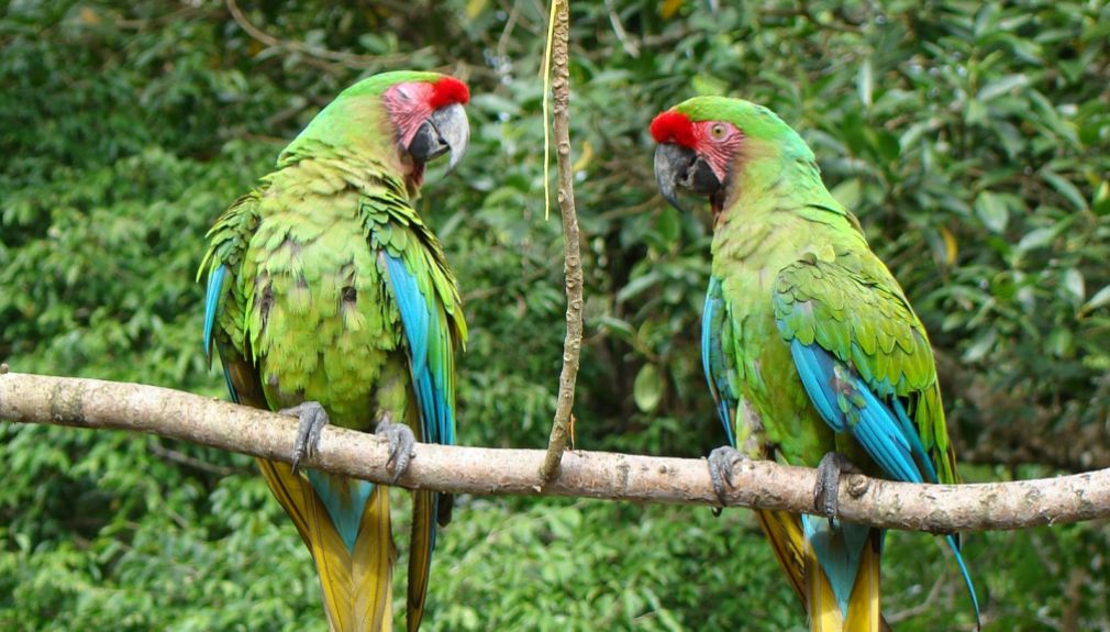 Enduro-Tour Chachapoyas & Amazonas südamerika, peru, motorrad, motorradreisen, touren, gruppenreise, rundfahrten, yamaha, preiswert, günstig, wüste, regenwald, pazifik, anden, Lima, Barranca, Huaraz, Huanchaco, Cajamarca, Leymebamba, Chachapoyas, Cocachimba, Moyobamba, Yurimaguas, Tarapoto