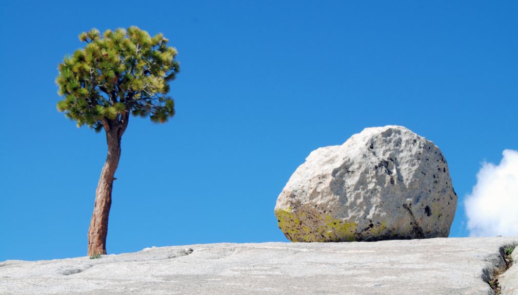 Motorradtour, USA, California Dreaming, Harley Davidson Big, Twin Adventure, Westküste, yosemite