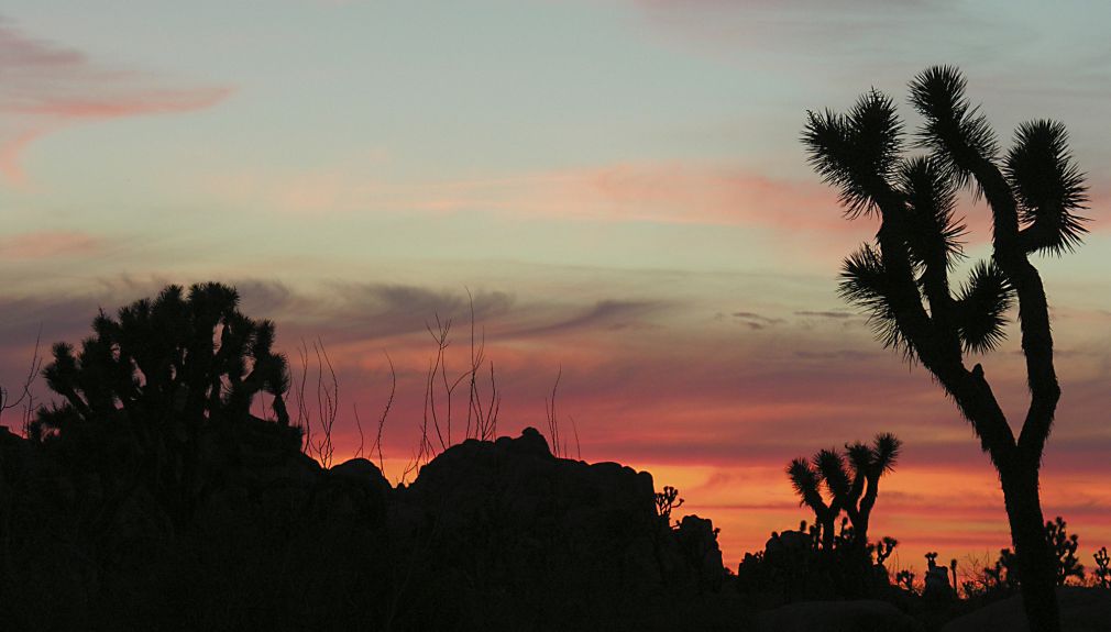Harley-Tour Coast to Coast