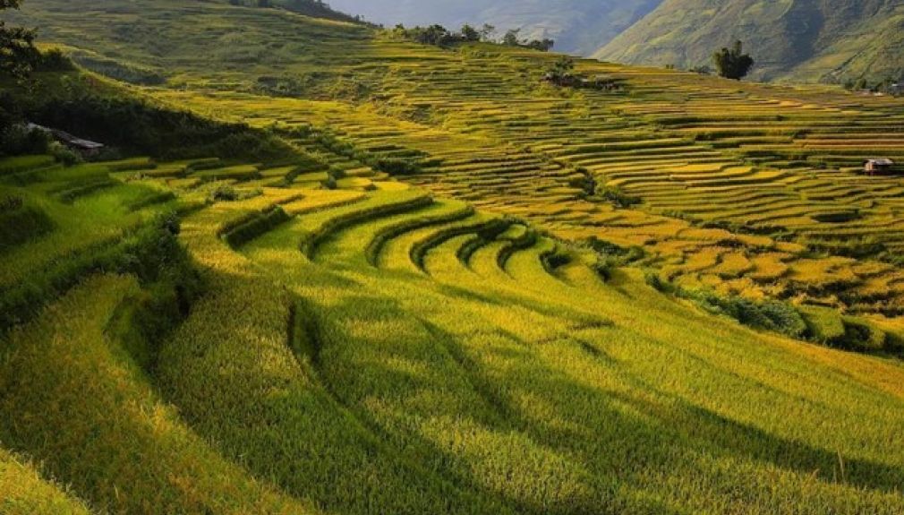 vietnam, motorrad, motorradreisen, touren, gruppenreise, rundfahrten, enduro, preiswert, günstig, Ho Chi Minh Stadt, Hanoi, Cua Lo, Pu Luong, Phong Nha, hue, khe Sanh, hoi an, Kon Tum, nha tran, ta dung, cam ranh, mui ne