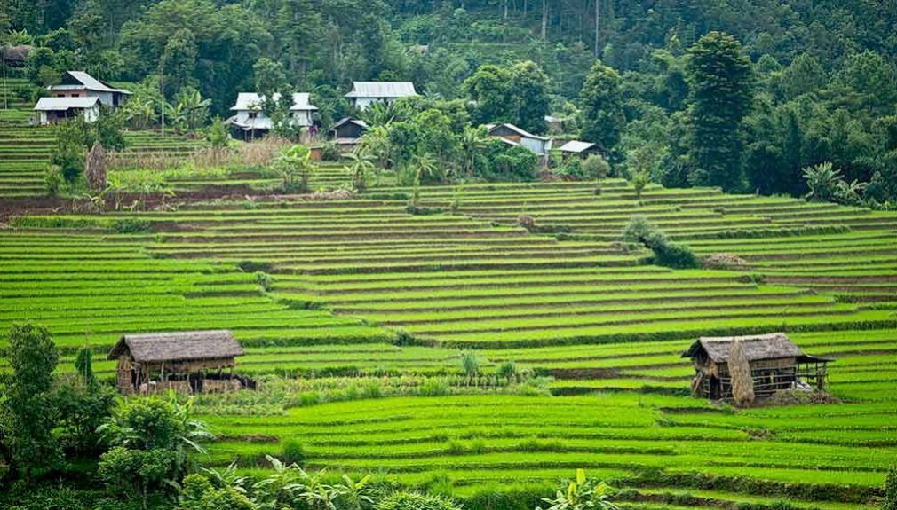 Enfield-Tour Nepal Extralarge himalaya, nepal, motorrad, motorradreisen, touren, gruppenreise, rundfahrten, enfield, preiswert, günstig, Kathmandu, Gorkha, Pokhara, Annapurna, Beni, Mugling, Bandipur, Tatopani, Muktinath, Baglung, Lumbini, Bardibas, Tansen, Terai, Chitwan, Bhaktapur,