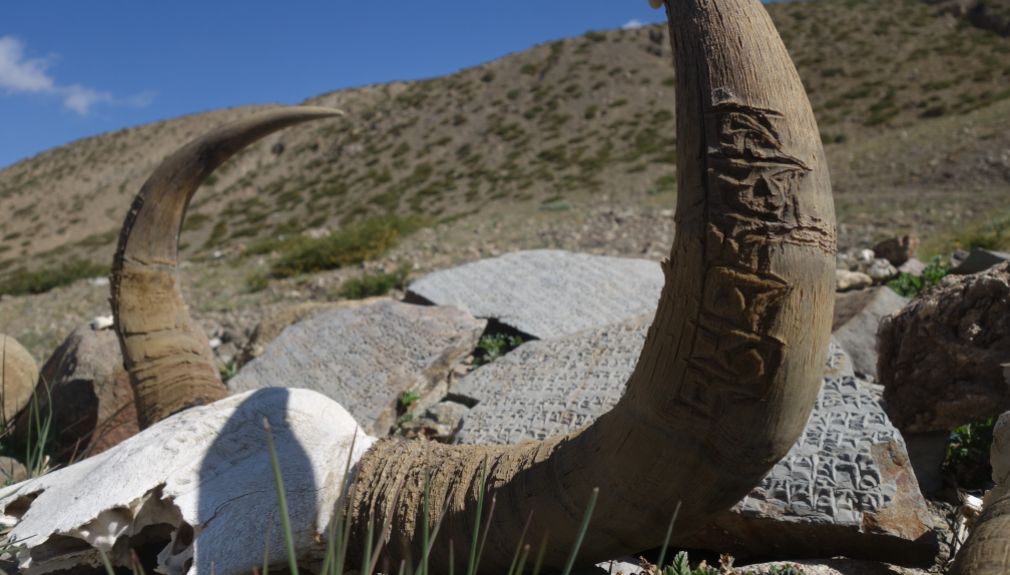 tibet, china, motorradreisen, touren, gruppenreise, preiswert, günstig, Chengdu, Lhasa, Tsedang, Gyantse, shelkar, Tingri, kailash, guge, Everest, saga, zanda, darchen, nepal, gyrong, kathmandu, Zuthulphuk, Dirapuk,  