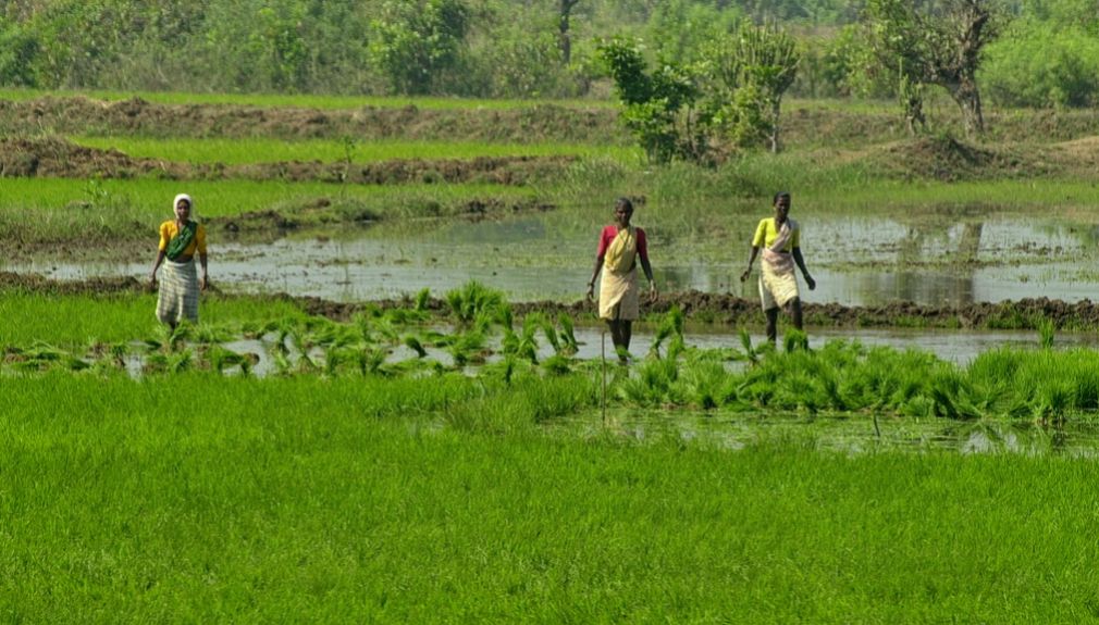 indien, motorrad, motorradreisen, touren, gruppenreise, rundfahrten, enfield, preiswert, günstig, Mumbai, Nashik, Ajanta, Ellora, Solapur, Pattadakal, Badami, Hampi, Goa, Kholapur, Panchgani, Mumbai