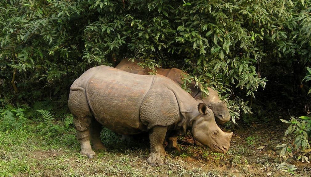 Enfield-Tour Nepal Magic Mountains himalaya, nepal, motorrad, motorradreisen, touren, gruppenreise, rundfahrten, enfield, preiswert, günstig, Kathmandu-Tal, Gorkha, Pokhara, Annapurna, Tansen, Terai, Chitwan, Bhaktapur, Mount Everest, Tibet, Kathmandu