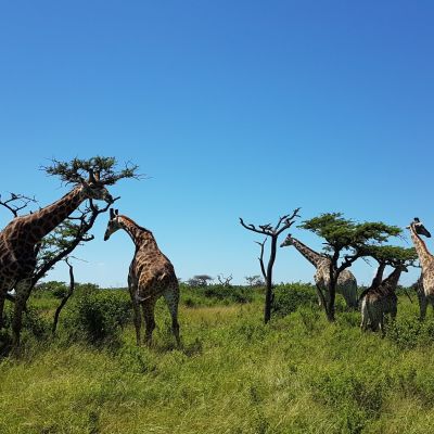 Motorradreise Südafrika