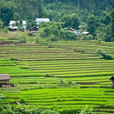 himalaya, nepal, motorrad, motorradreisen, touren, gruppenreise, rundfahrten, enfield, preiswert, günstig, Kathmandu, Gorkha, Pokhara, Annapurna, Beni, Mugling, Bandipur, Tatopani, Muktinath, Baglung, Lumbini, Bardibas, Tansen, Terai, Chitwan, Bhaktapur, 