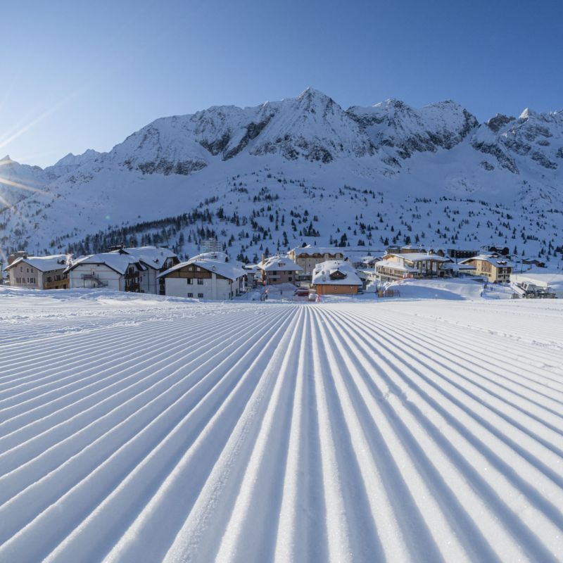 Ski, italien, pontedilegno, tonale, Gruppenreisen, Reisen, Snowboard, Skikurse, Kinderbetreuung, Winter,, pistenplan