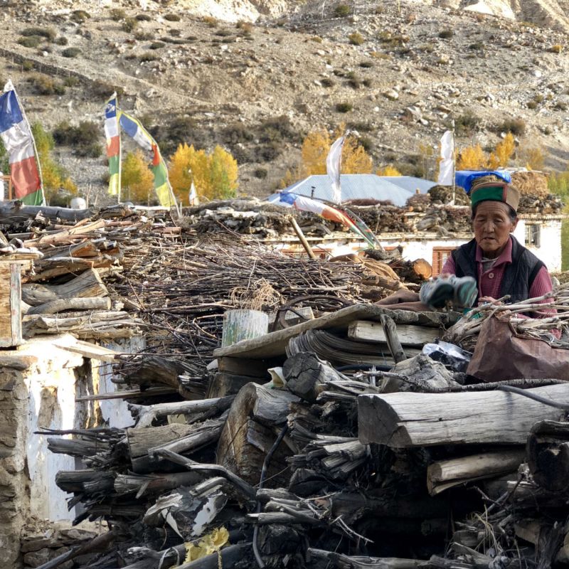 Enfield-Tour Himalaya Extreme himalaya, indien, motorrad, motorradreisen, touren, gruppenreise, rundfahrten, enfield, preiswert, günstig, Delhi, Pragpur, Bir, Jalori Pass, Gushaini, Sarahan, Nako, Tabo, Kaza, Chandra Valley, Rohtang Pass, Kunzum Pass, Keylong, Sural, Killar, Sach Pass