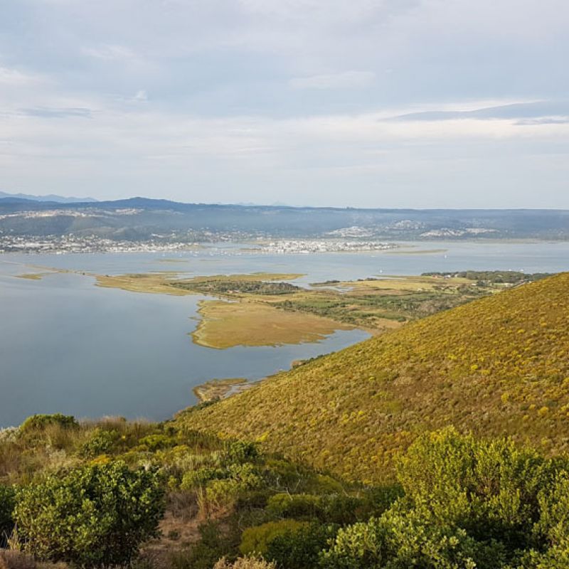 südafrika, suedafrika, kapstadt, garden route, stellenbosch, cederberg, matjiesfontein, western cape, klein karoo, oudtshoorn, stormsriver albertinia, cape south, de kelders, kap der guten hoffnung, stony point, clarence drive, bainskloof, rooiberg, swart