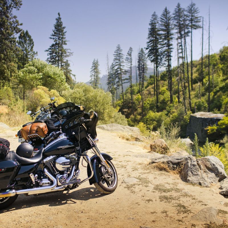 Harley Davidson Tour - Canadian Rockies usa, motorrad, motorradreisen, touren, eagle rider, rundfahrten, harley davidson, route 66, gruppenreisen, biker, preiswert, günstig, seattle, winthrop, kamloops, jasper, banff, waterton lakes, whitefish, Anaconda, Red Lodge, Cody, Yellowstone, glacier na