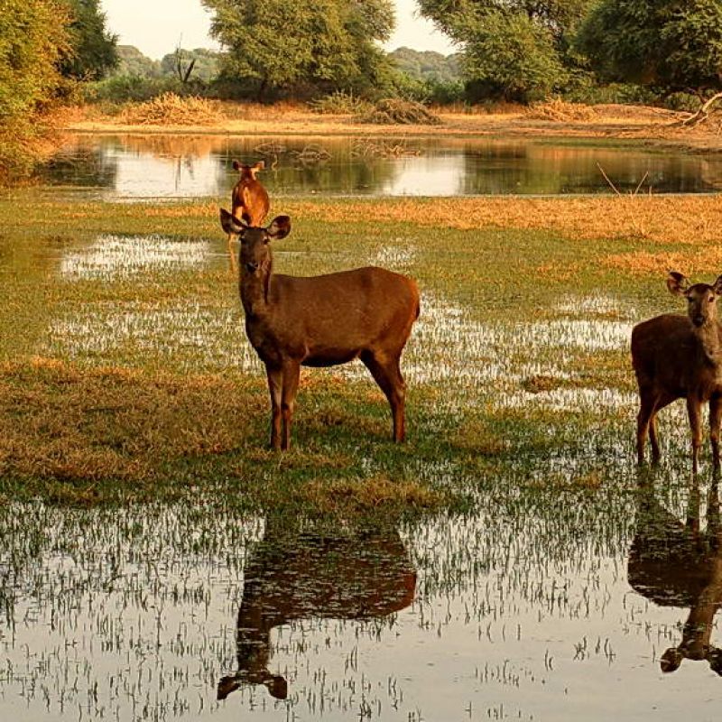 indien, motorrad, motorradreisen, touren, gruppenreise, rundfahrten, enfield, preiswert, günstig, Delhi, Agra, Gwalior, Orchha, Chanderi, Sanchi, Sagar, Khajuraho, Varanasi