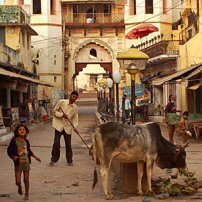 indien, motorrad, motorradreisen, touren, gruppenreise, rundfahrten, enfield, preiswert, günstig, Delhi, Agra, Gwalior, Orchha, Chanderi, Sanchi, Sagar, Khajuraho, Varanasi