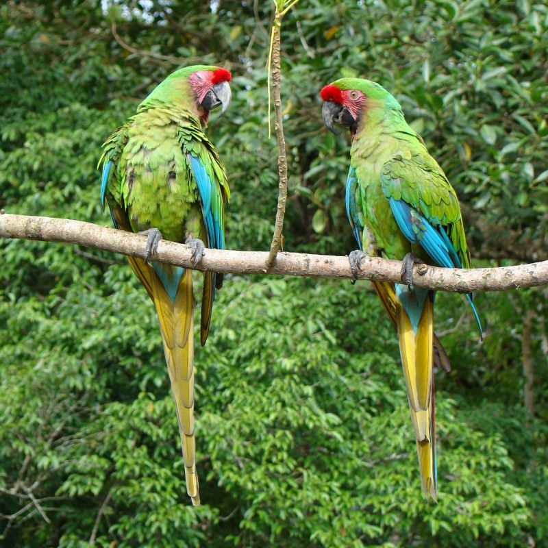 Enduro-Tour Chachapoyas & Amazonas südamerika, peru, motorrad, motorradreisen, touren, gruppenreise, rundfahrten, yamaha, preiswert, günstig, wüste, regenwald, pazifik, anden, Lima, Barranca, Huaraz, Huanchaco, Cajamarca, Leymebamba, Chachapoyas, Cocachimba, Moyobamba, Yurimaguas, Tarapoto