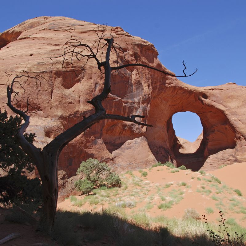Motorradtour USA Monument Valley Big Sky Harley Davidson Big Twin Adventure Westküste