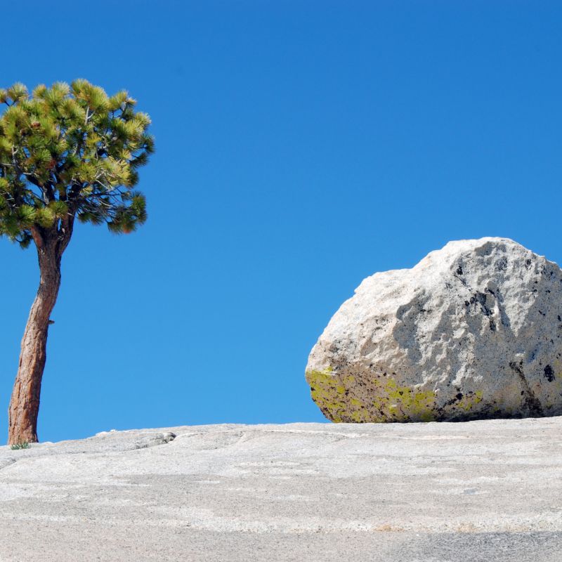 Motorradtour, USA, California Dreaming, Harley Davidson Big, Twin Adventure, Westküste, yosemite