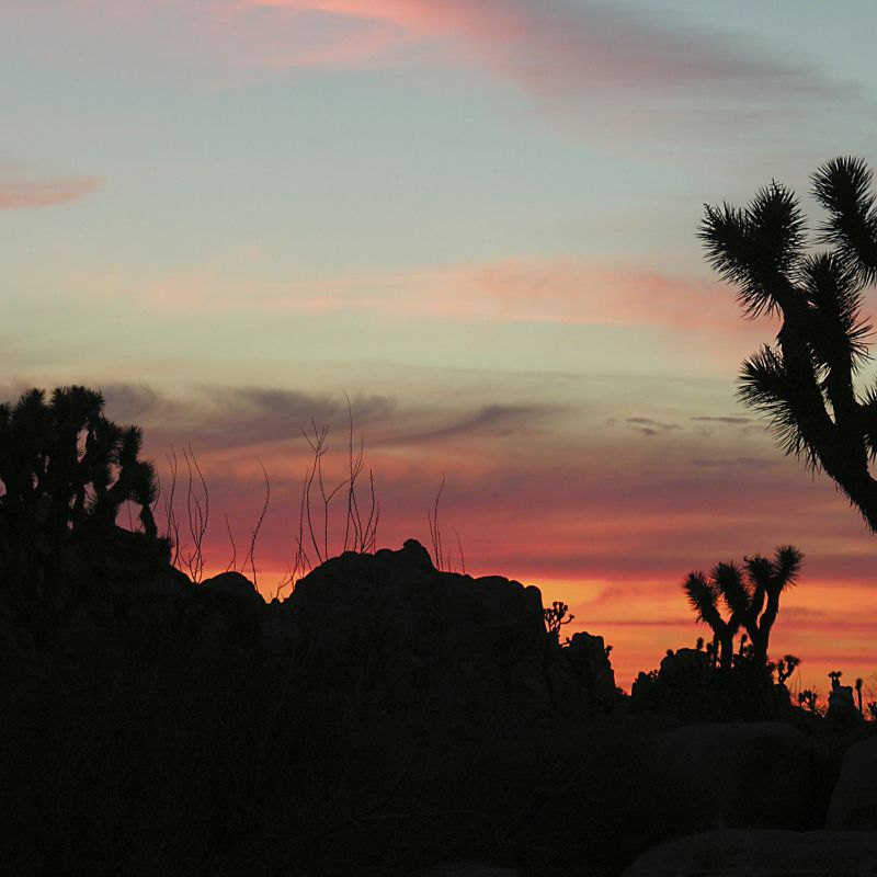 Harley-Tour Coast to Coast