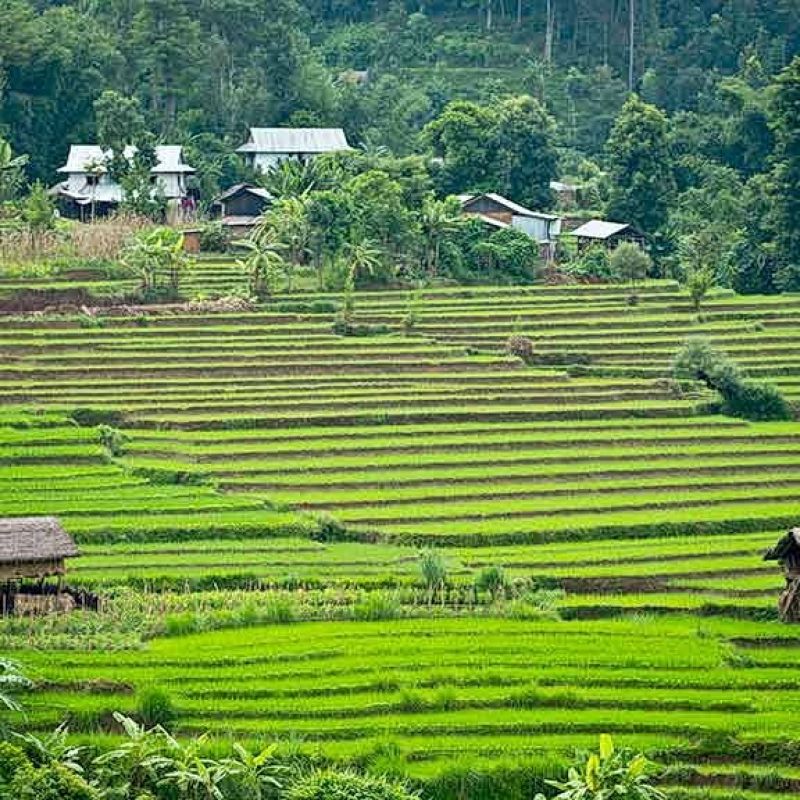 Enfield-Tour Nepal Extralarge himalaya, nepal, motorrad, motorradreisen, touren, gruppenreise, rundfahrten, enfield, preiswert, günstig, Kathmandu, Gorkha, Pokhara, Annapurna, Beni, Mugling, Bandipur, Tatopani, Muktinath, Baglung, Lumbini, Bardibas, Tansen, Terai, Chitwan, Bhaktapur,