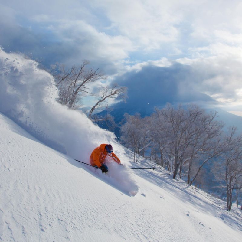 Skisafari Japan - Japow Dreams japan, snowboard reisen, skiurlaub, safari, gruppenreisen, skireisen, preiswert, günstig, niseko, Hanazono, hirafu, Annupuri