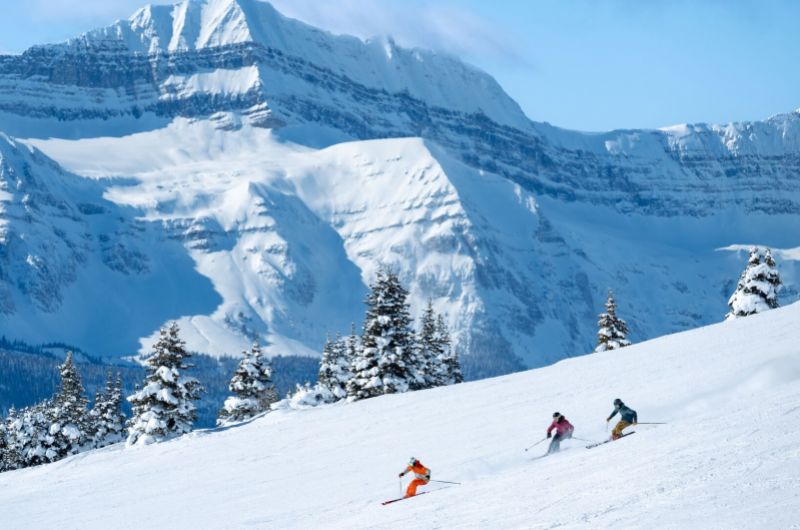 Kanada, canada, snowboard, skisafari, gruppenreisen, skireisen, preiswert, günstig, usa