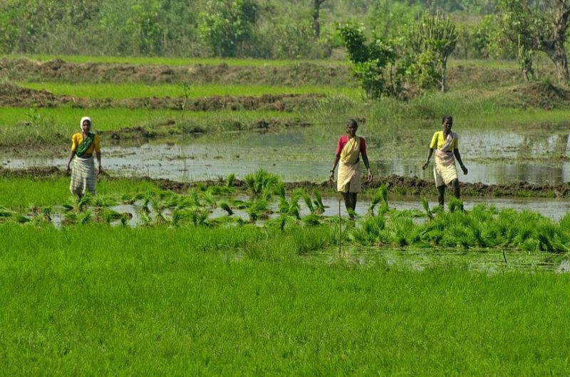 Enfield-Tour Discover Western India indien, motorrad, motorradreisen, touren, gruppenreise, rundfahrten, enfield, preiswert, günstig, Mumbai, Nashik, Ajanta, Ellora, Solapur, Pattadakal, Badami, Hampi, Goa, Kholapur, Panchgani, Mumbai